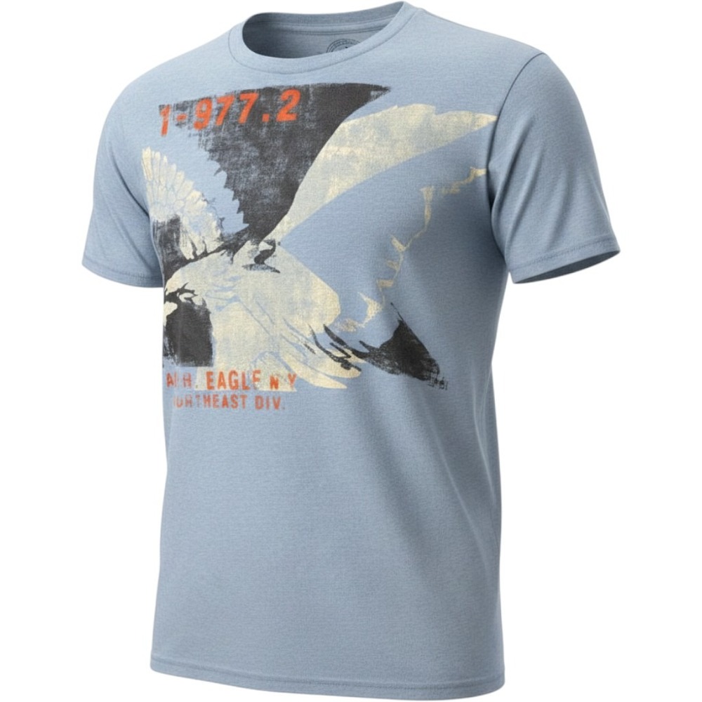 American Eagle Mens XXL Athletic Fit Graphic T-Shirt Blue Heather Eagle Print